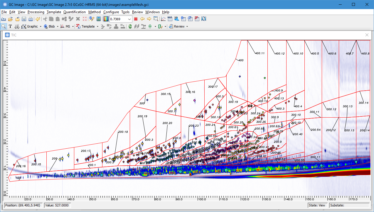 Group Analysis